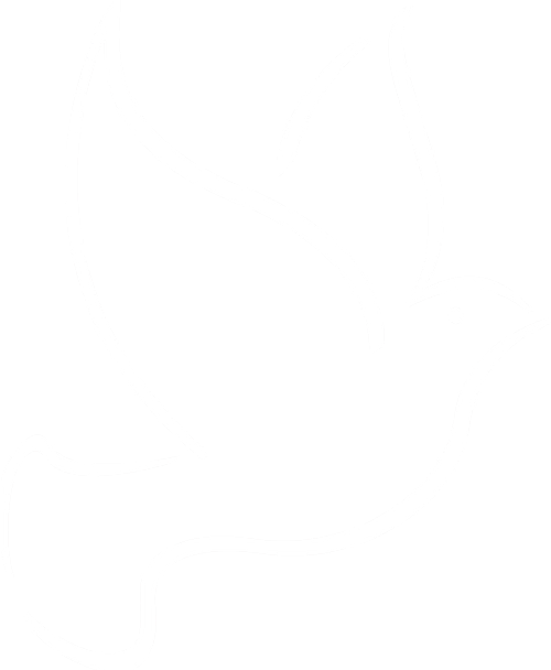 Calvary Baptist Church logo