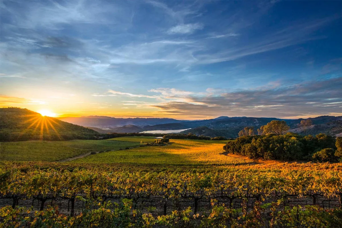 Napa Valley Life Church church in Napa