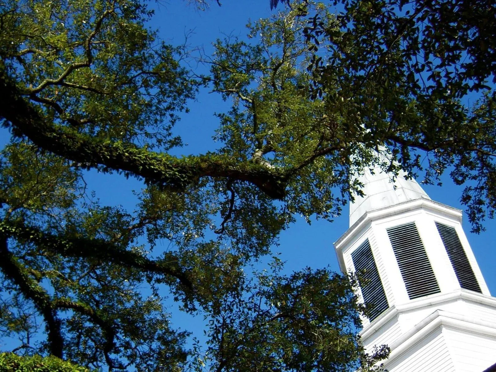 Plains Presbyterian Church