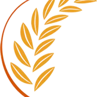 Plains Baptist Church logo